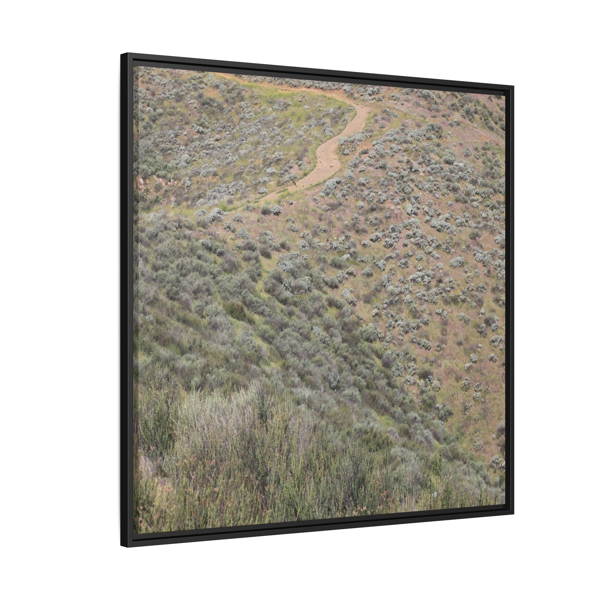 Arid Landscape with Winding Path - Unique Stretched Canvas Wall Art - Art By Earth