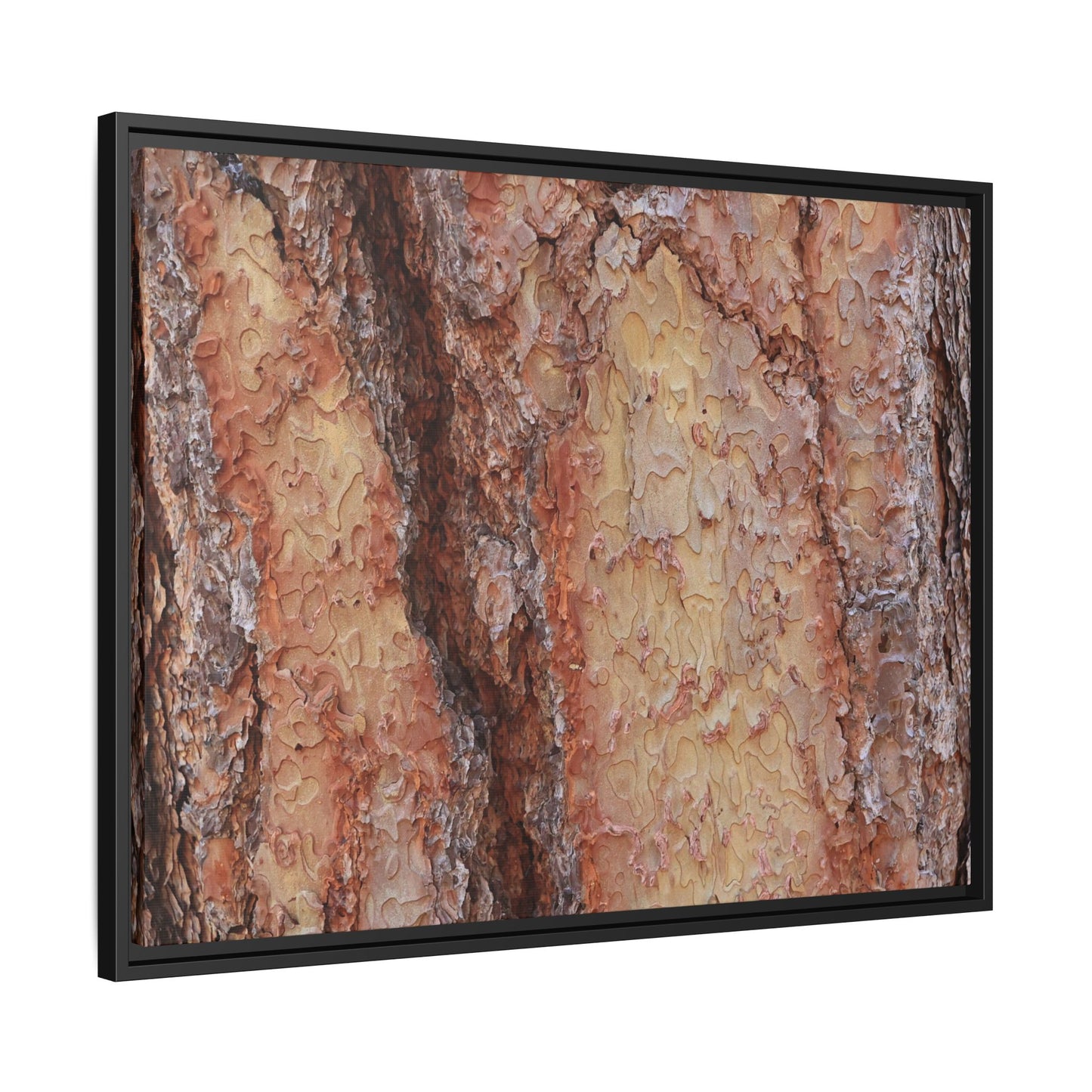 Rustic Rhythms - Unique Stretched Canvas Wall Art - Art By Earth