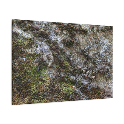 Moss Tapestry - Unique Frameless Canvas Wall Art - Art By Earth