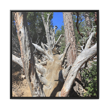 Forest Sentinels - Unique Stretched Canvas Wall Art