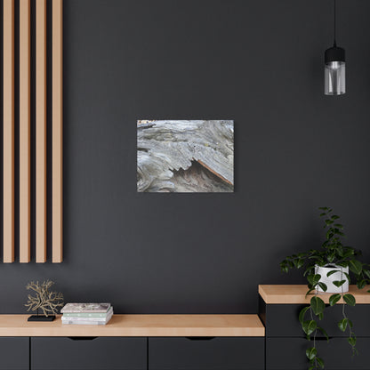 Whispers of Ancient Wood - Unique Frameless Canvas Wall Art - Art By Earth