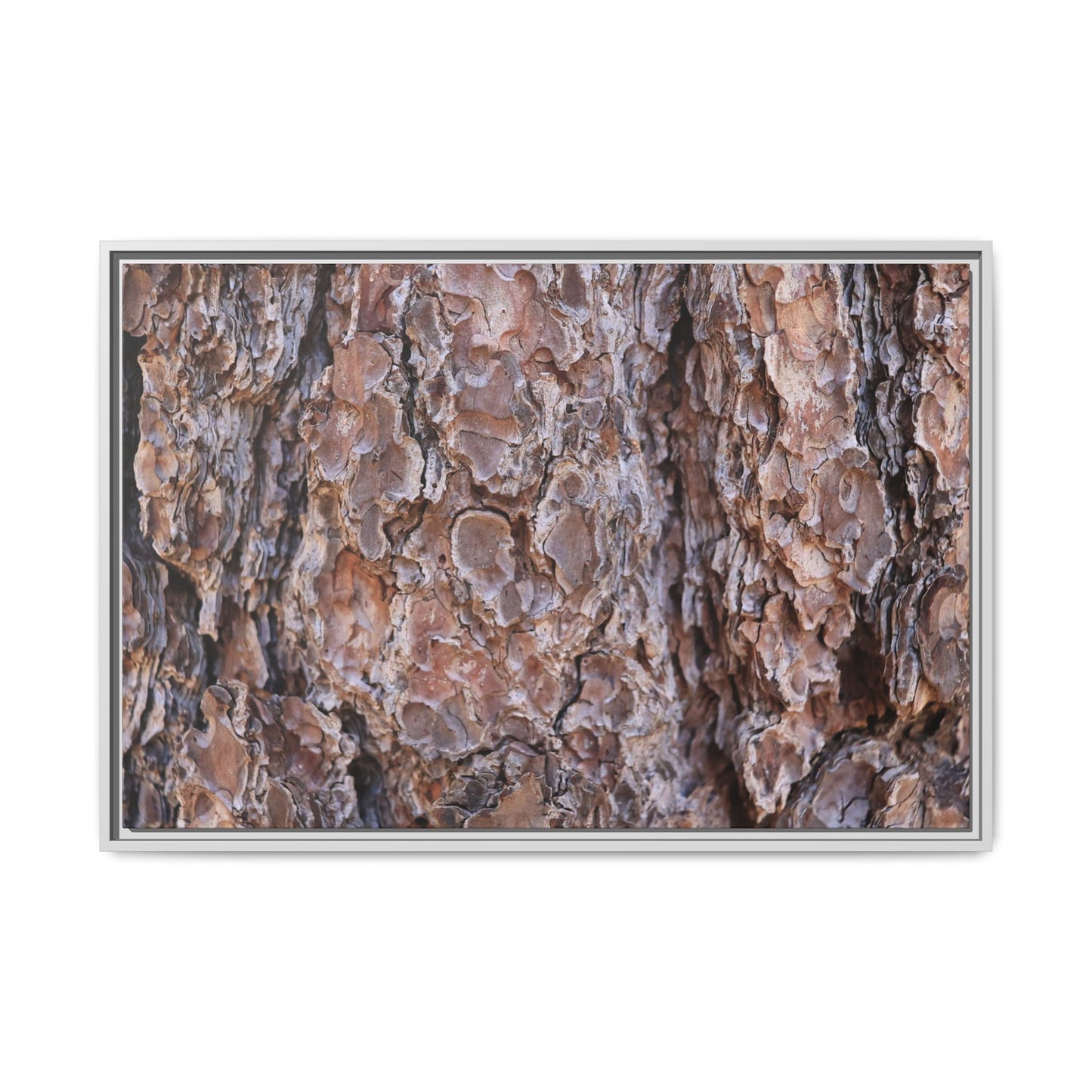 Woody Layers - Unique Stretched Canvas Wall Art - Art By Earth