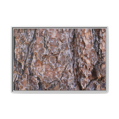 Woody Layers - Unique Stretched Canvas Wall Art - Art By Earth