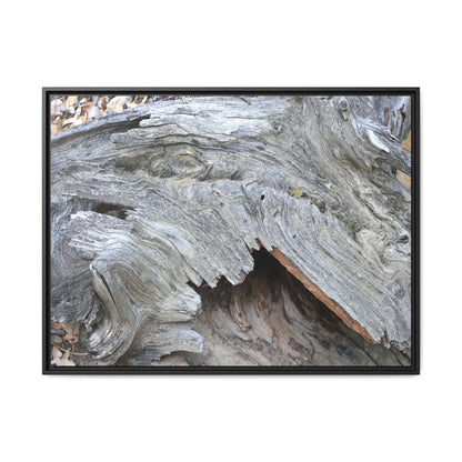 Driftwood Dreams - Unique Stretched Canvas Wall Art - Art By Earth
