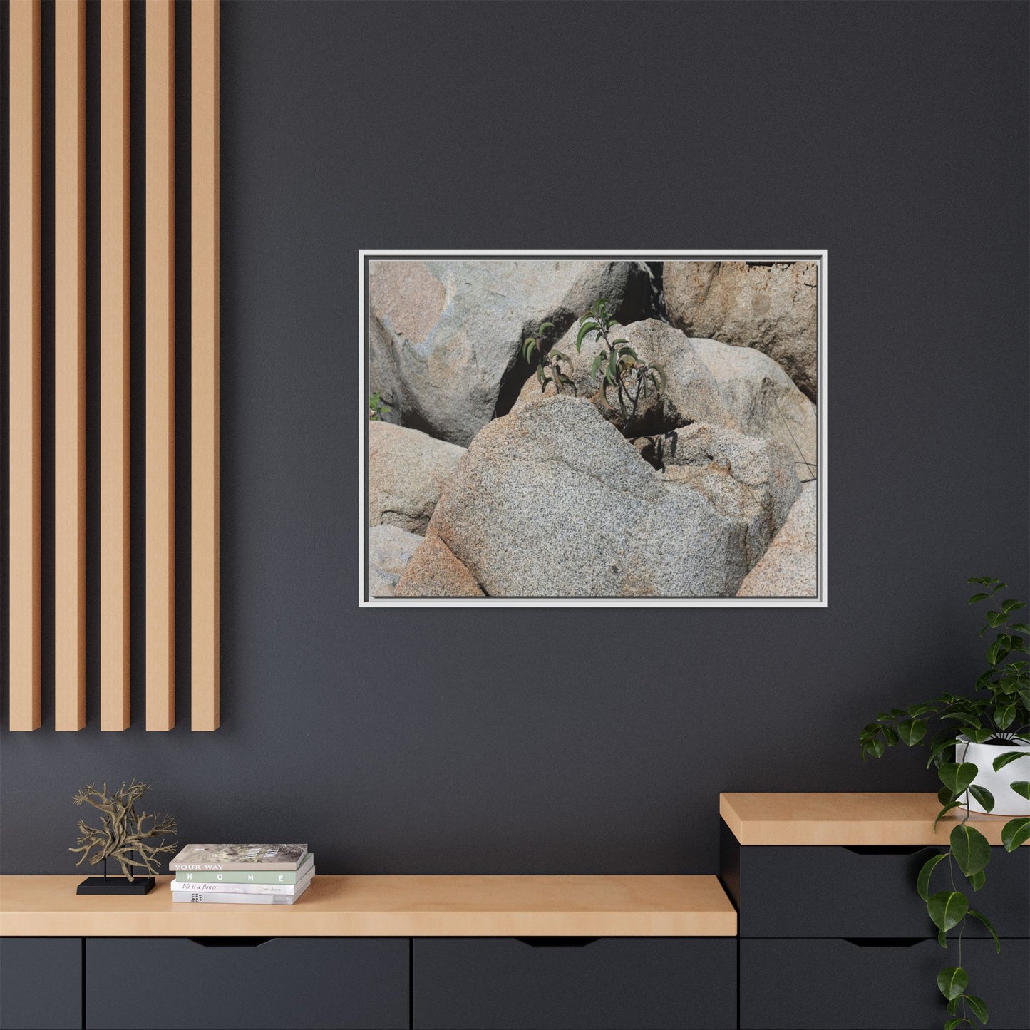 Desert Plant Thriving Among Rocks - Unique Stretched Canvas Wall Art