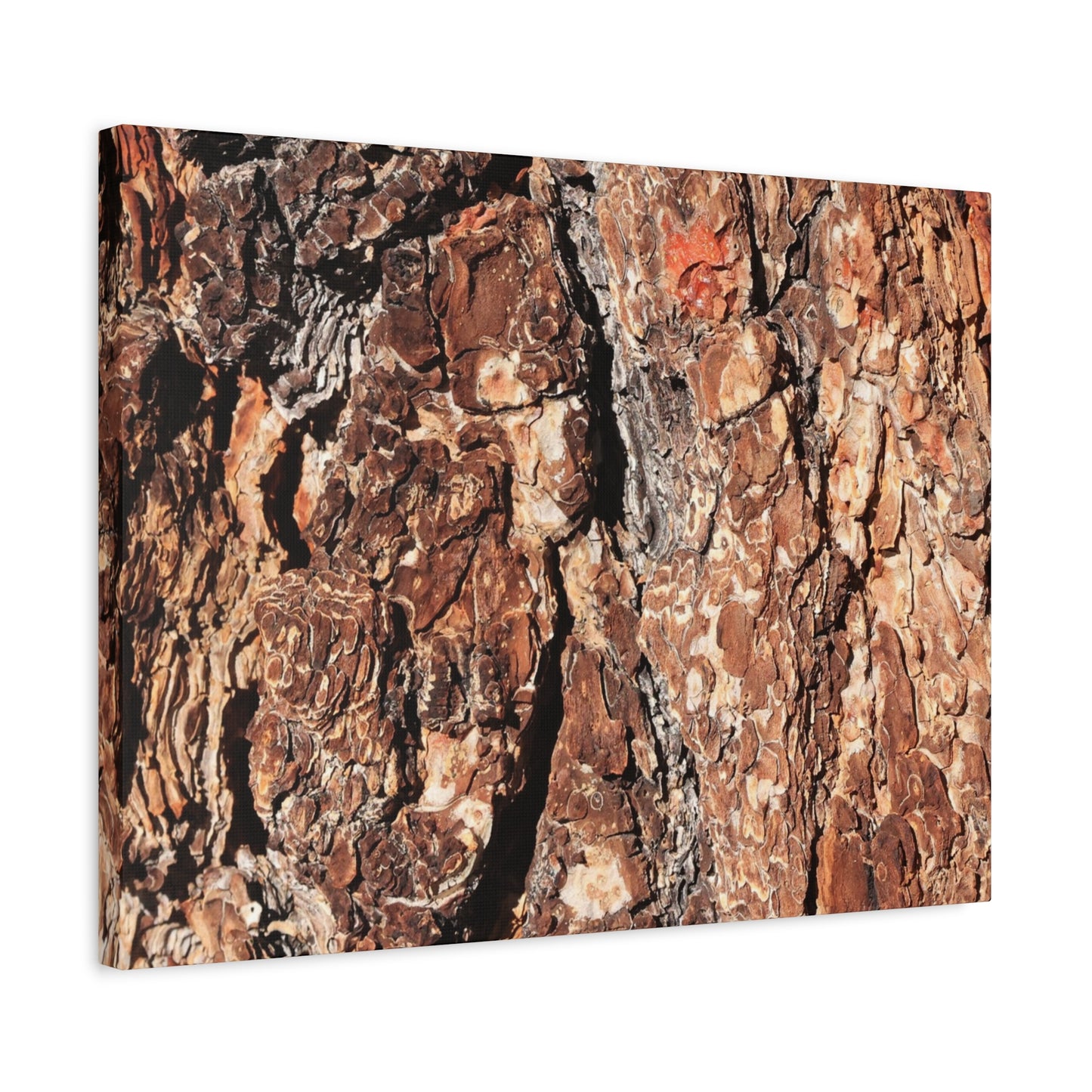 Russet Echoes - Unique Frameless Canvas Wall Art