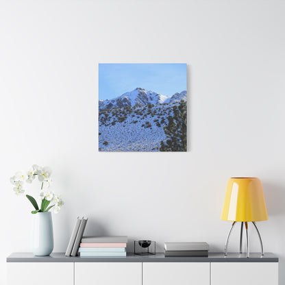 Snowy Peaks and Stoic Pines - Unique Frameless Canvas Wall Art