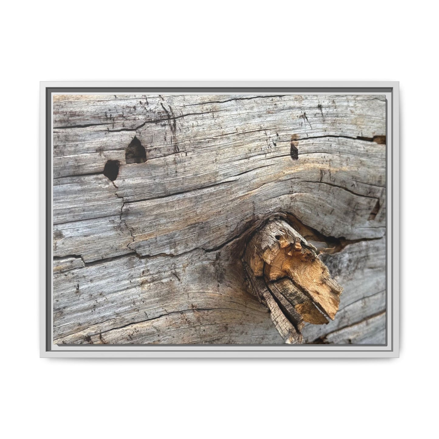 Weathered Wood Texture - Unique Stretched Canvas Wall Art - Art By Earth
