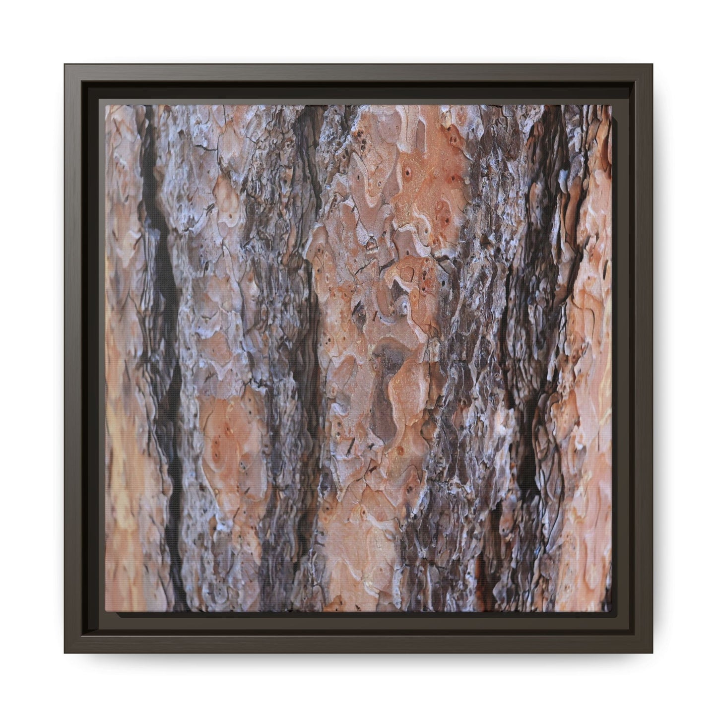 Earthy Embrace - Unique Stretched Canvas Wall Art - Art By Earth