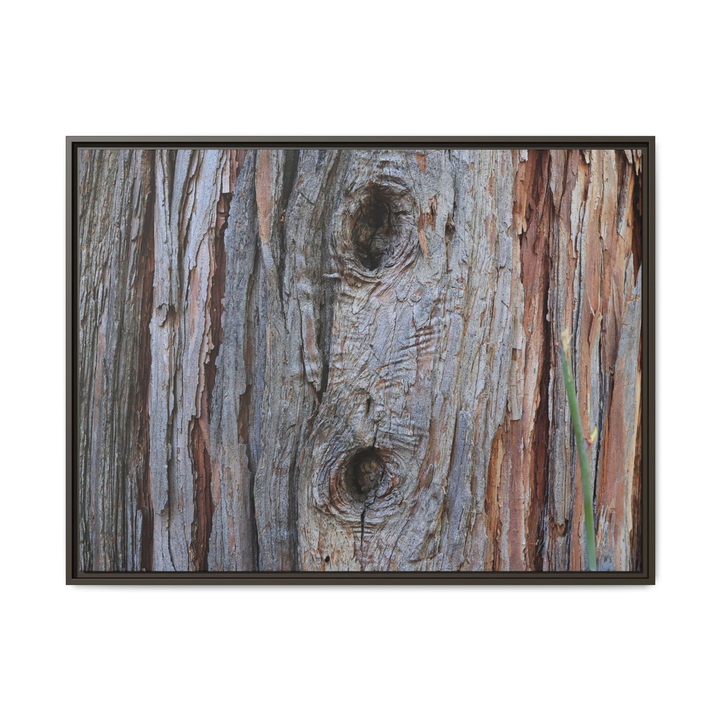 Knotty Nature - Unique Stretched Canvas Wall Art - Art By Earth