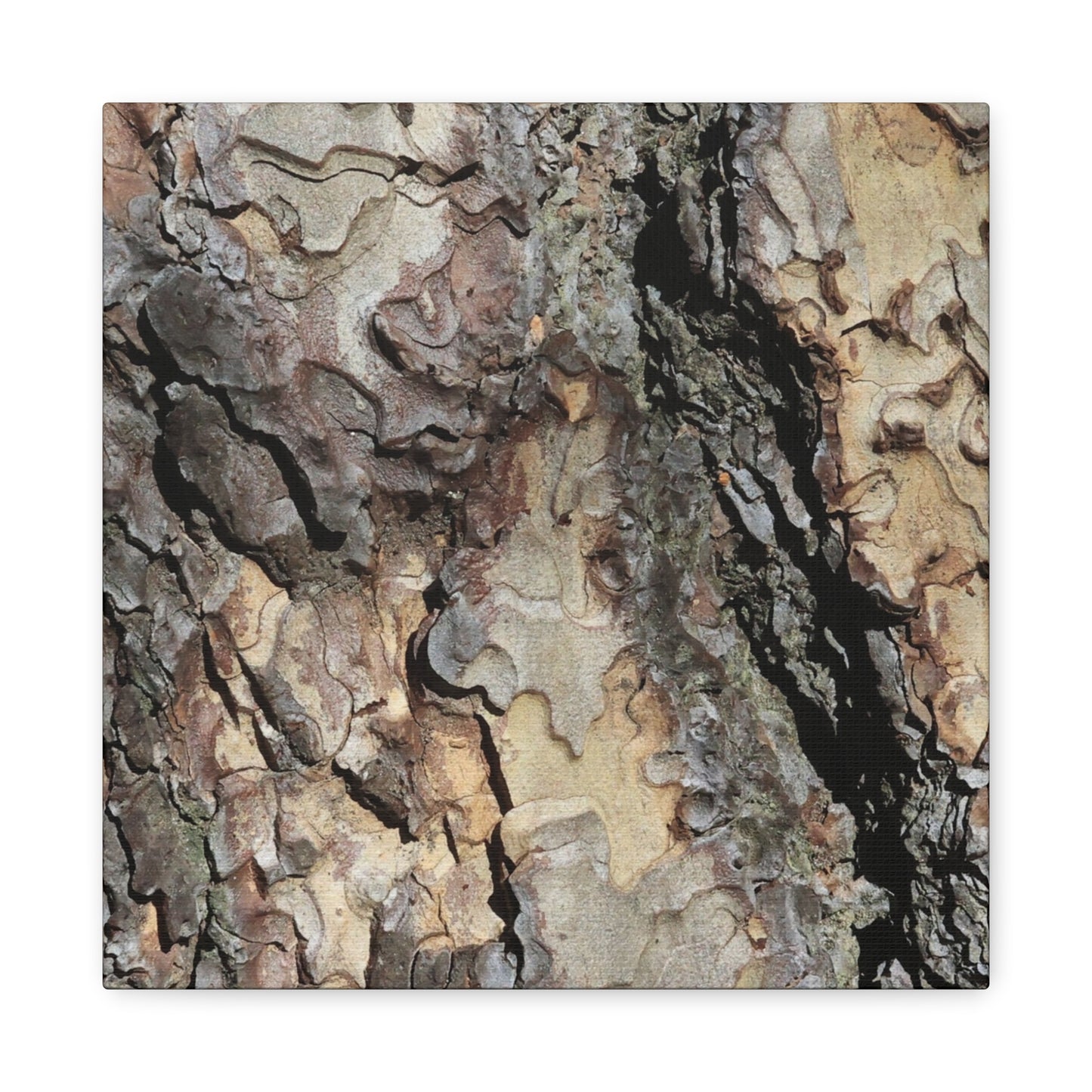 Wooden Labyrinth - Unique Frameless Canvas Wall Art - Art By Earth