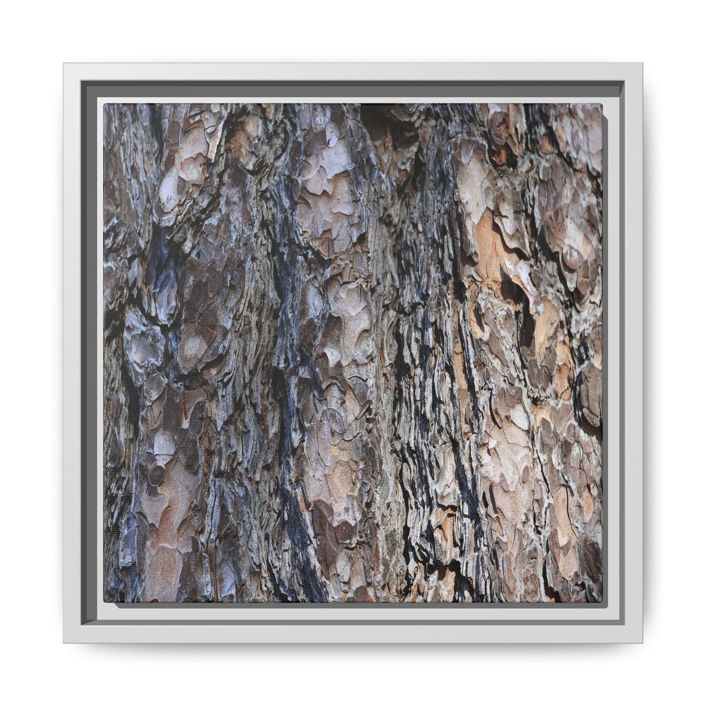 Weathered Patterns - Unique Stretched Canvas Wall Art - Art By Earth