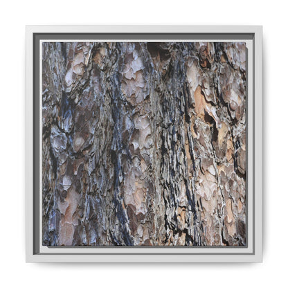 Weathered Patterns - Unique Stretched Canvas Wall Art - Art By Earth