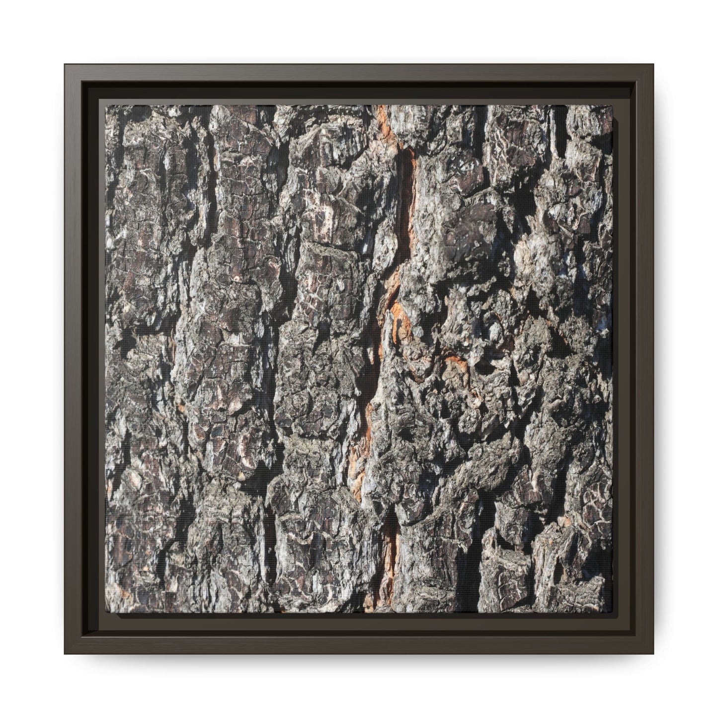 Aged Beauty - Unique Stretched Canvas Wall Art - Art By Earth