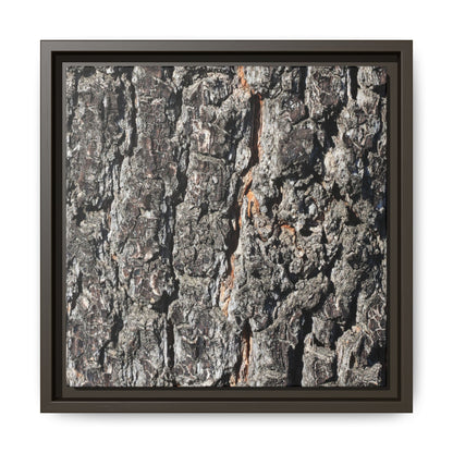 Aged Beauty - Unique Stretched Canvas Wall Art - Art By Earth