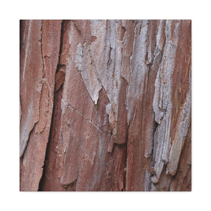 Peeling Paint - Unique Frameless Canvas Wall Art - Art By Earth