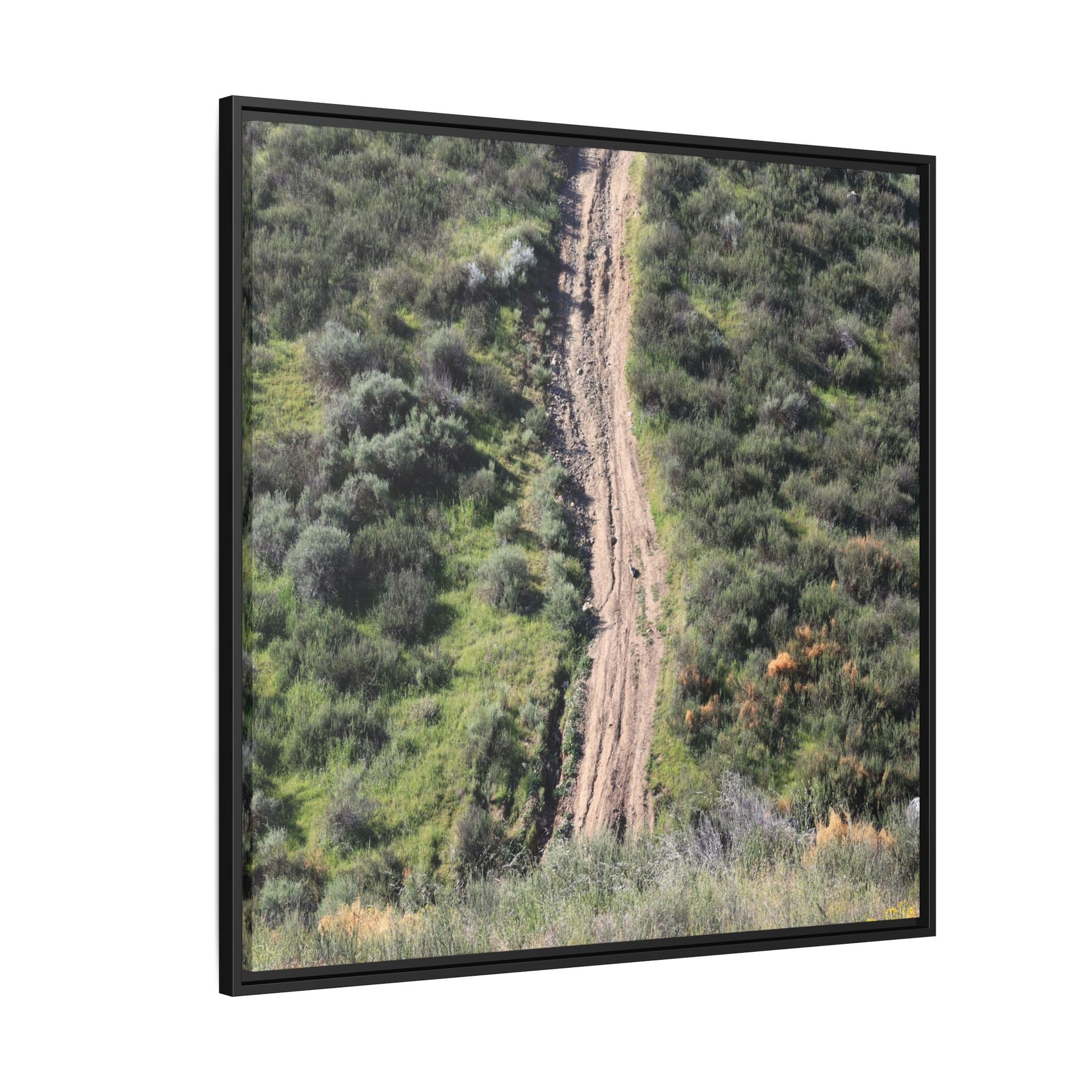 Desert Path Through Sage - Unique Stretched Canvas Wall Art - Art By Earth