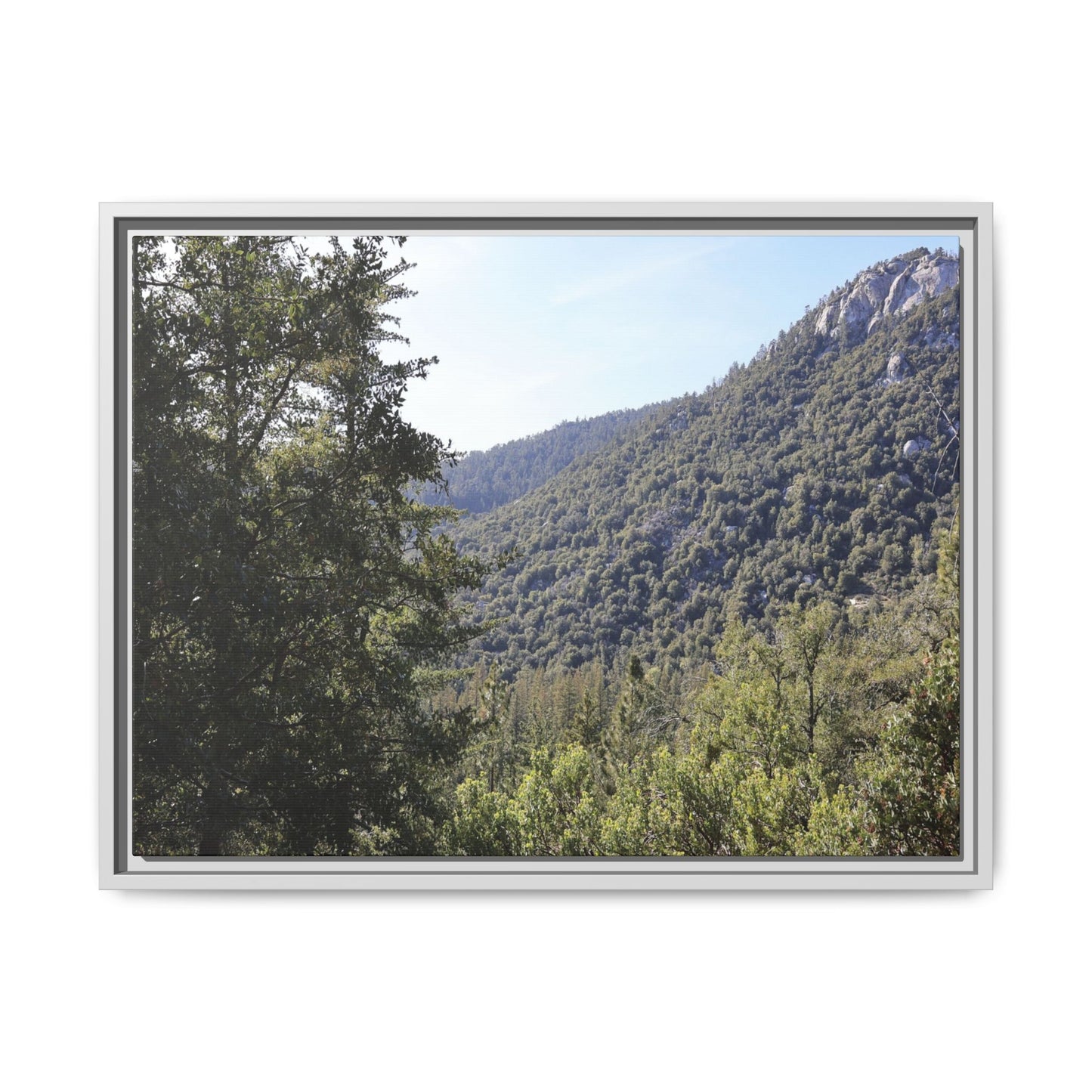 Mountain Valley Forest - Unique Stretched Canvas Wall Art