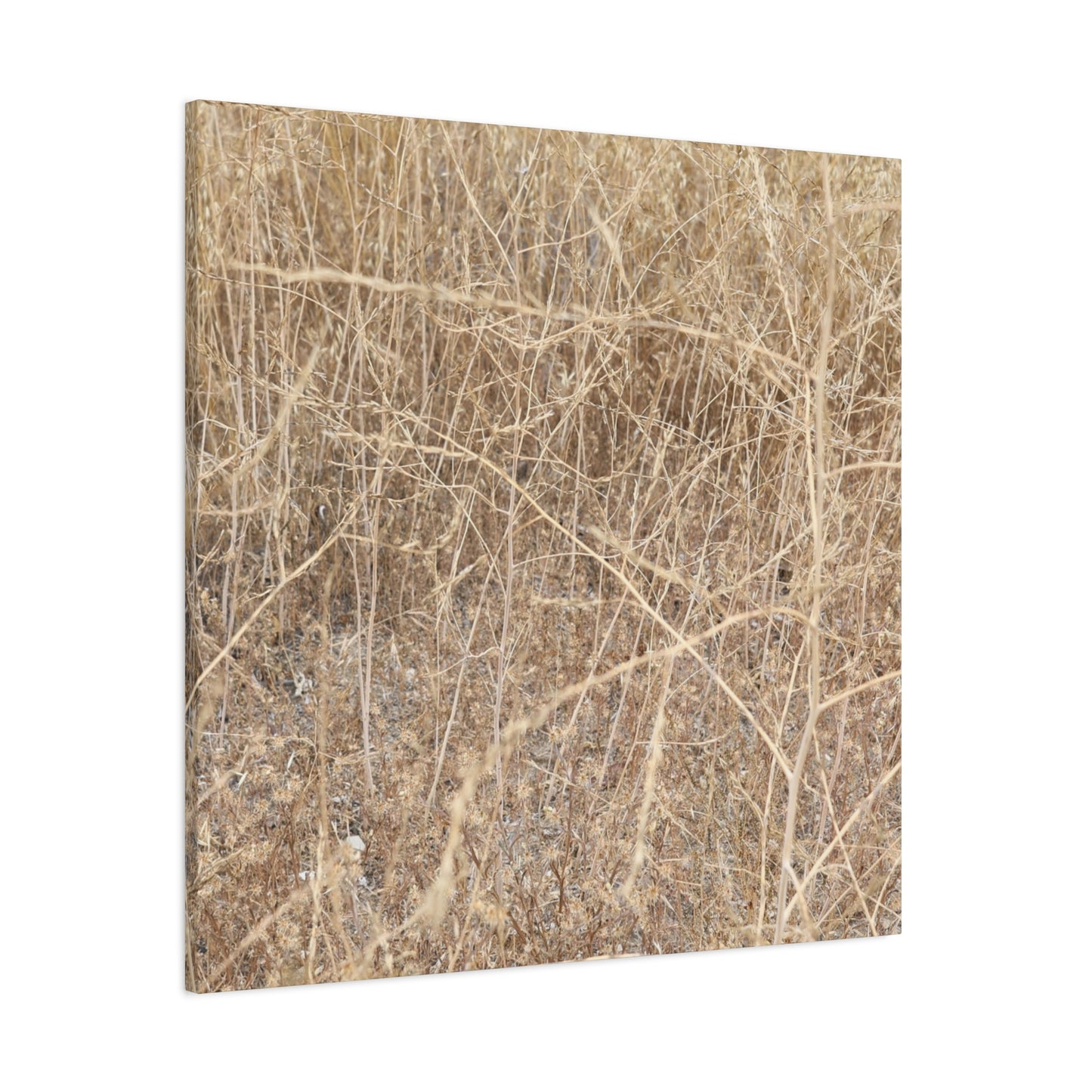 Dry Echoes - Unique Frameless Canvas Wall Art - Art By Earth