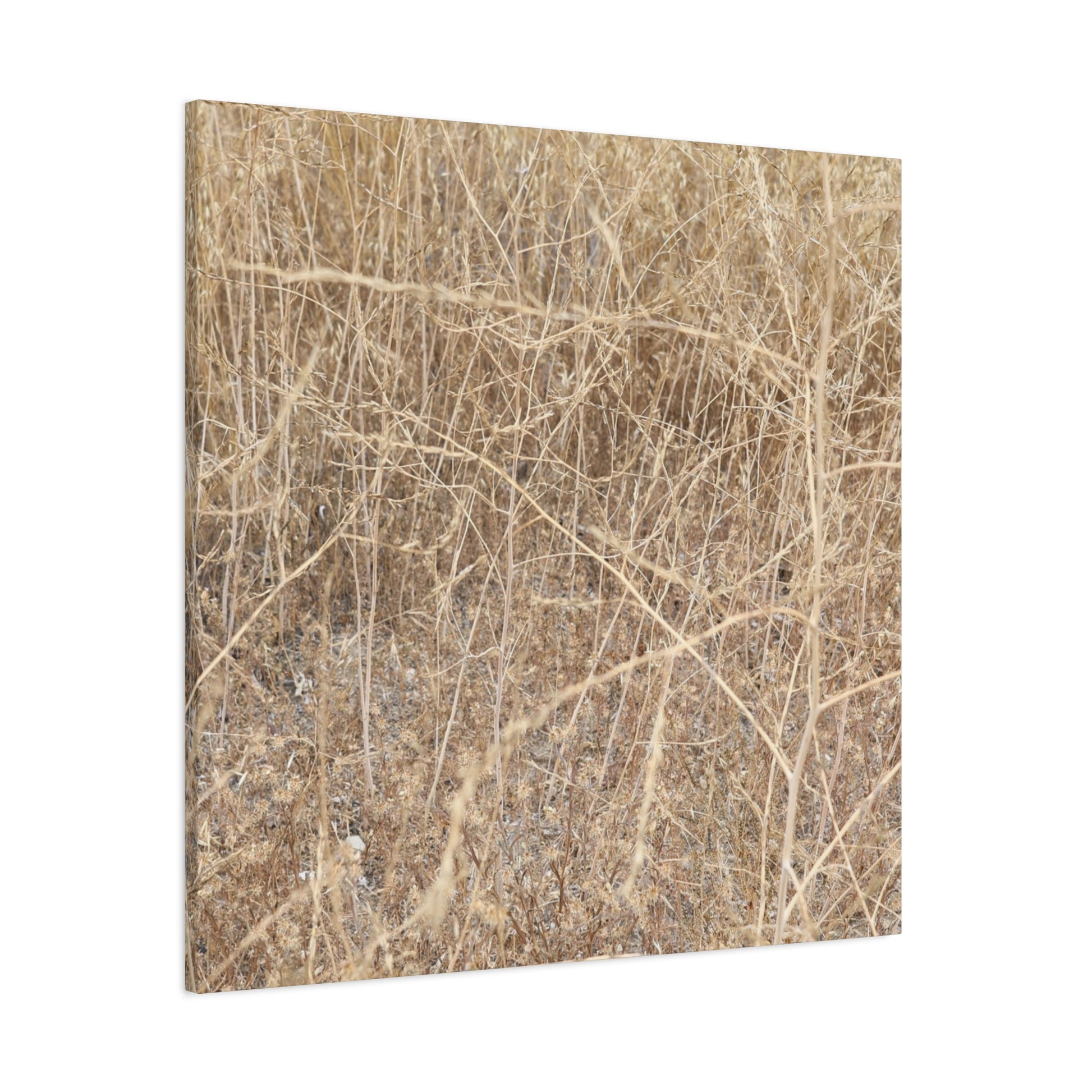 Dry Echoes - Unique Frameless Canvas Wall Art - Art By Earth