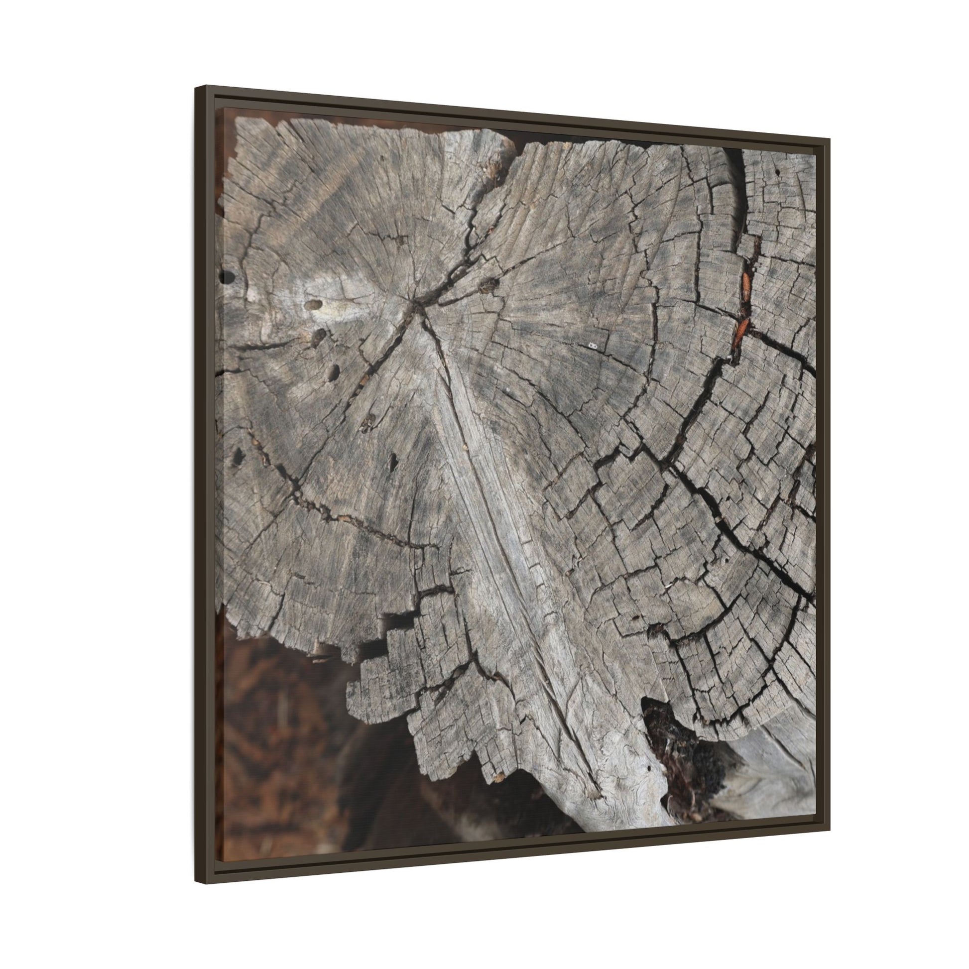 Time's Signature - Unique Stretched Canvas Wall Art - Art By Earth