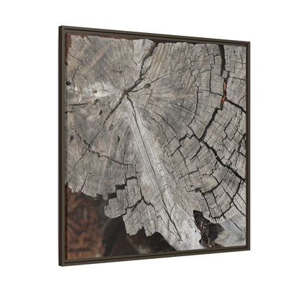 Time's Signature - Unique Stretched Canvas Wall Art - Art By Earth