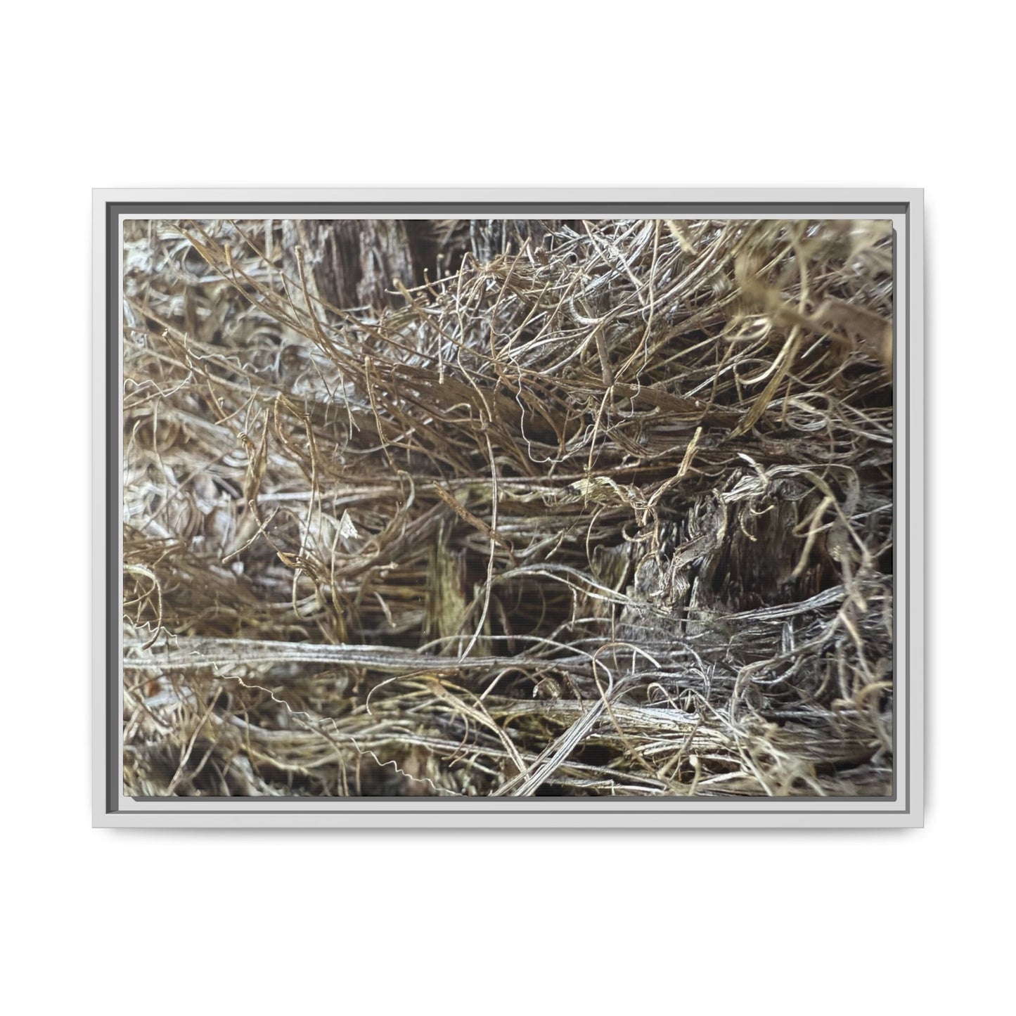 Tangled Whispers of Autumn - Unique Stretched Canvas Wall Art - Art By Earth