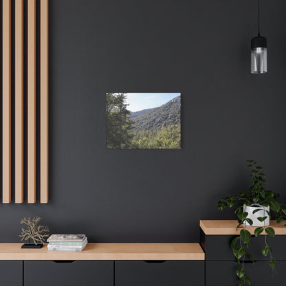 Mountain Vista Through Forest - Unique Frameless Canvas Wall Art