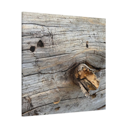 Weathered Wood Portrait - Unique Frameless Canvas Wall Art - Art By Earth