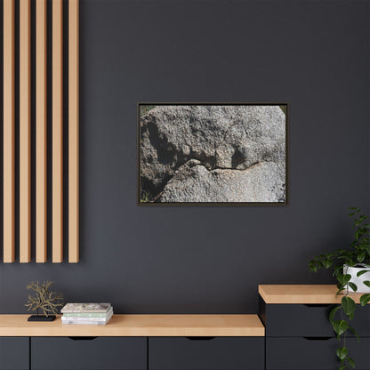 Stone Skull in Desert - Unique Stretched Canvas Wall Art