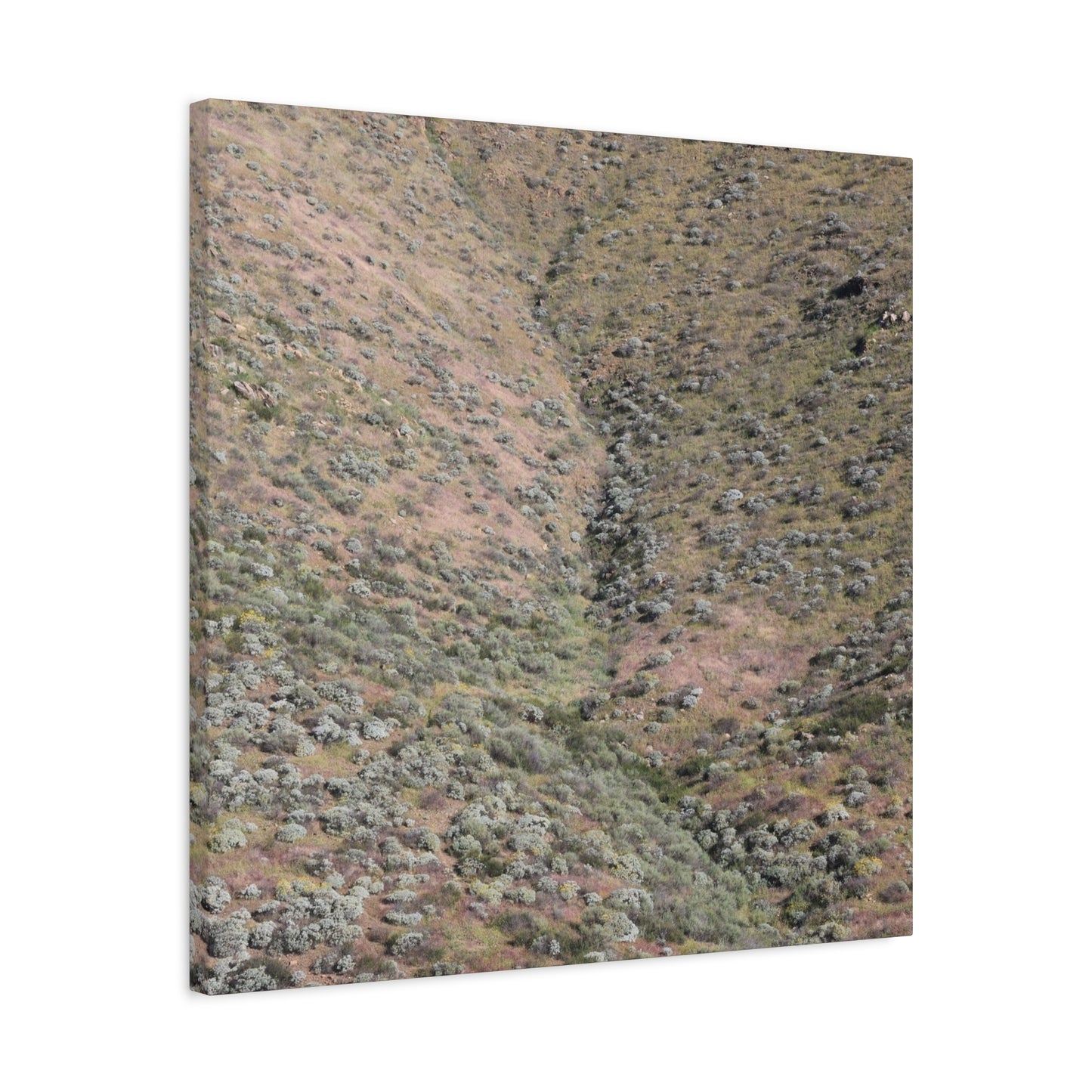 Desert Hillside - Unique Frameless Canvas Wall Art - Art By Earth