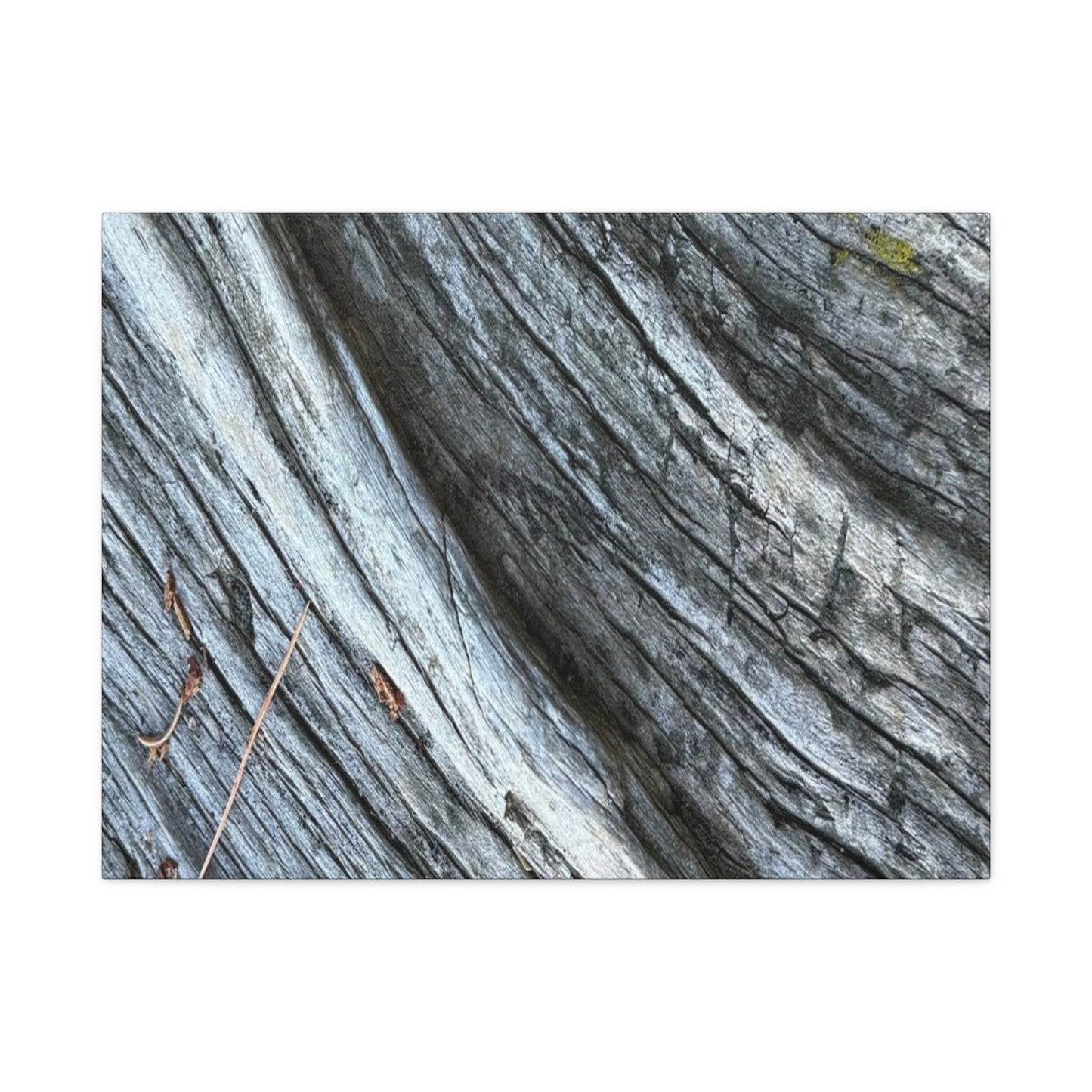 Weathered Wood Grain - Unique Frameless Canvas Wall Art - Art By Earth