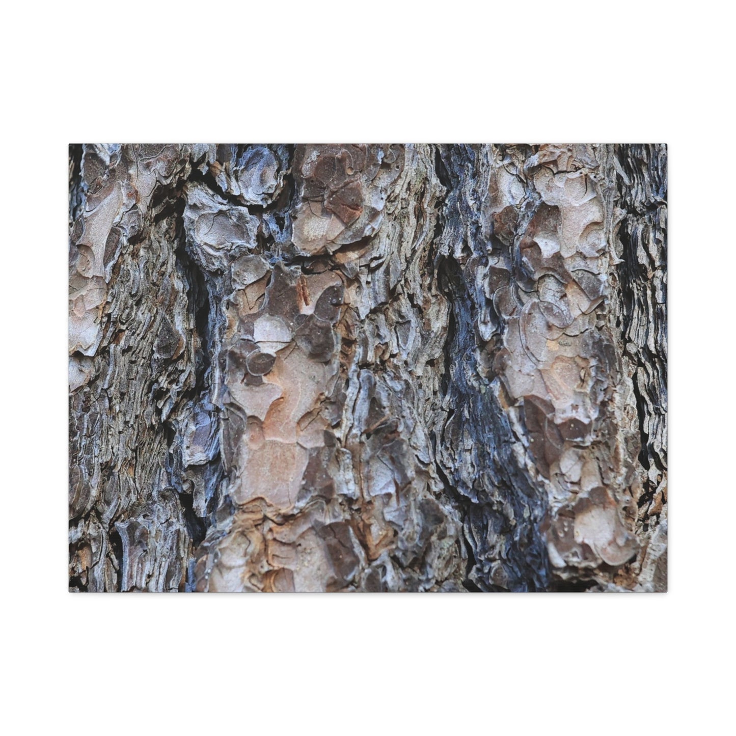 Arboreal Patterns - Unique Frameless Canvas Wall Art - Art By Earth