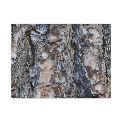 Arboreal Patterns - Unique Frameless Canvas Wall Art - Art By Earth