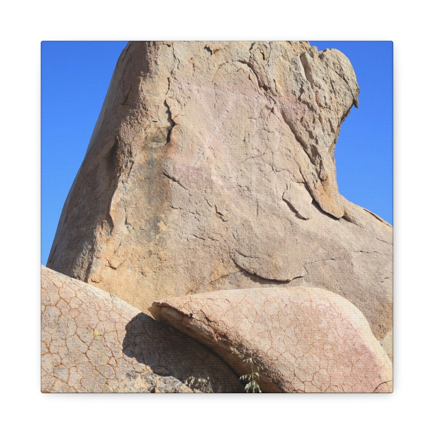 Boulder's Embrace - Unique Frameless Canvas Wall Art - Art By Earth
