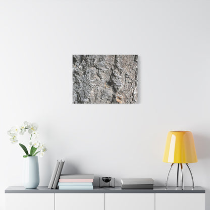 Elemental Canvas - Unique Frameless Canvas Wall Art - Art By Earth