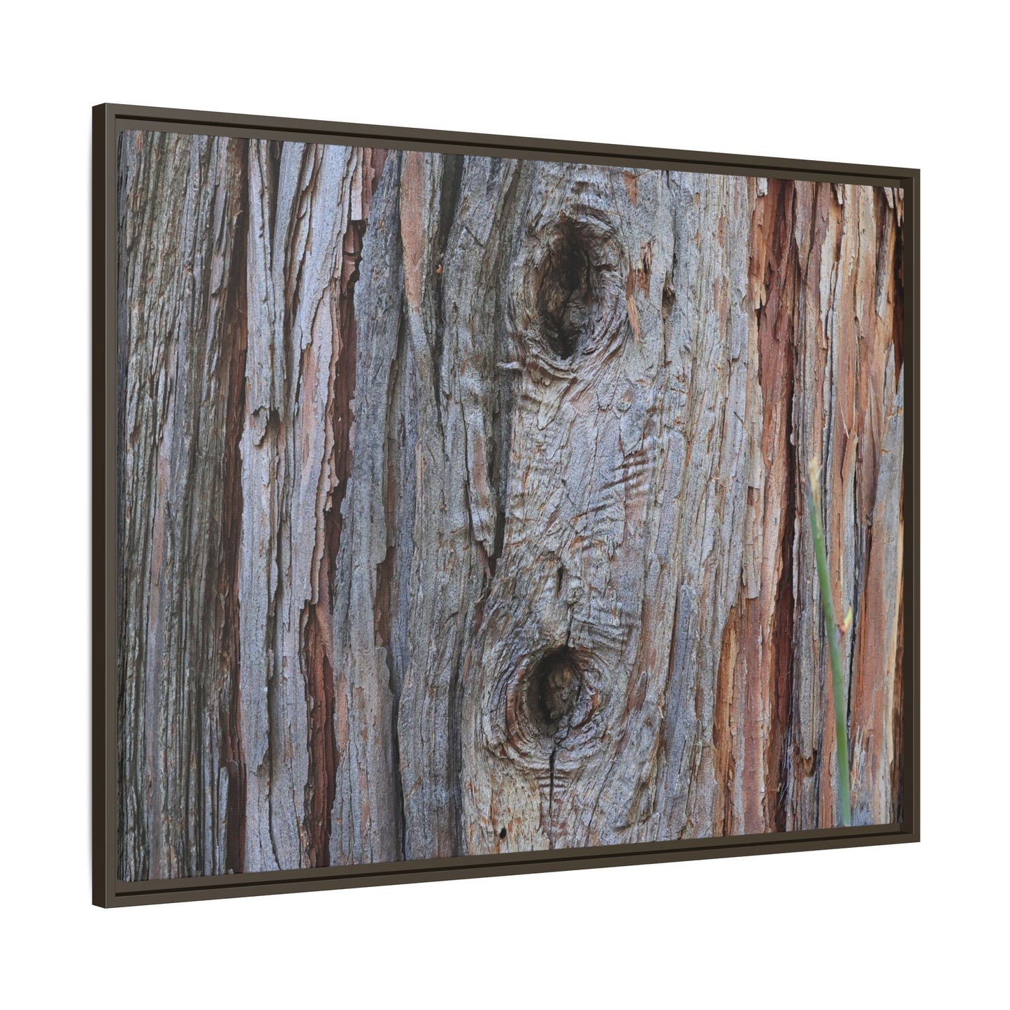 Knotty Nature - Unique Stretched Canvas Wall Art - Art By Earth