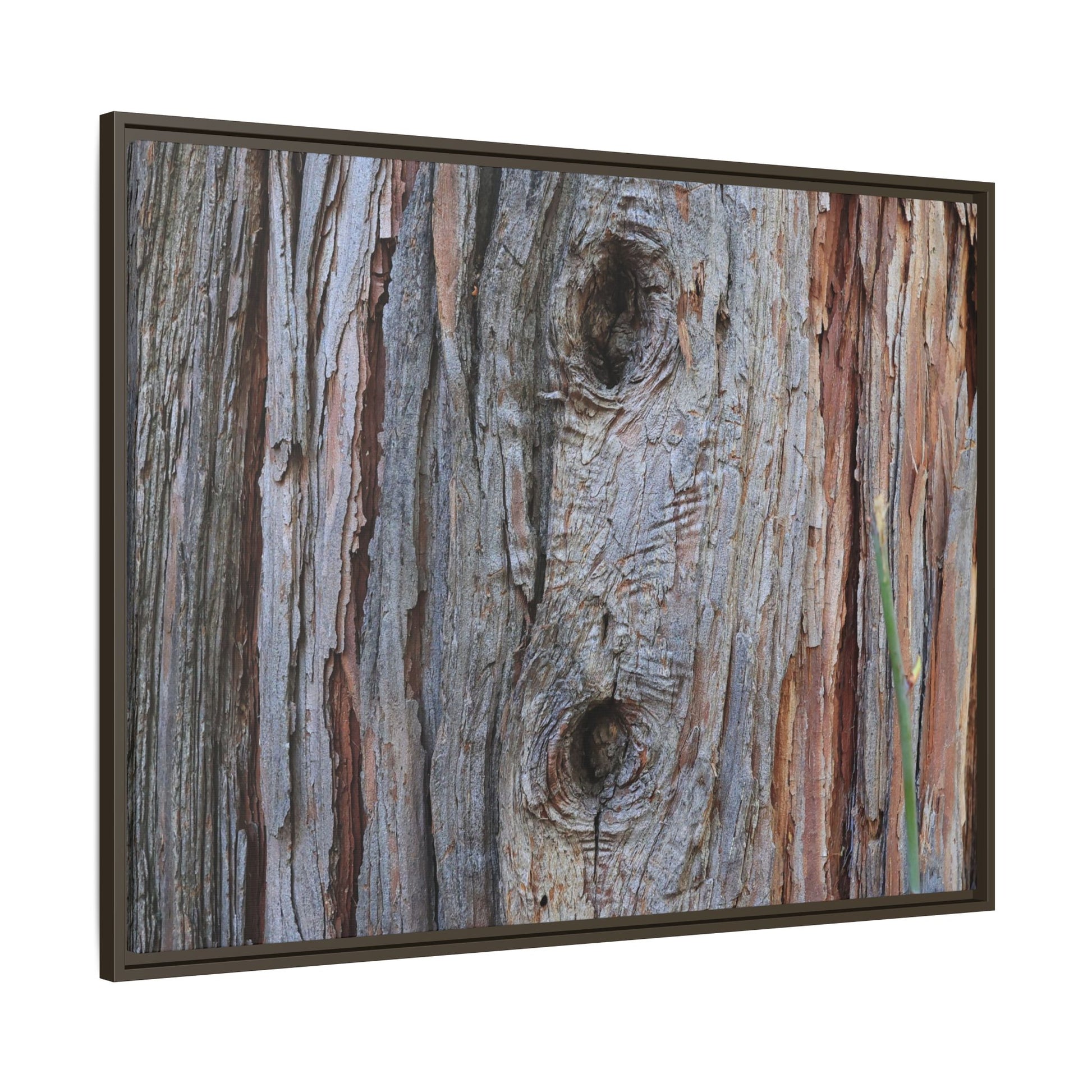 Knotty Nature - Unique Stretched Canvas Wall Art - Art By Earth