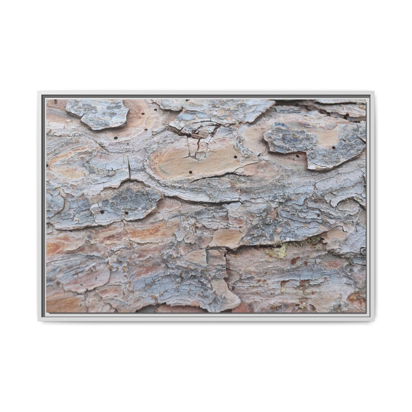 Peeling Memories - Unique Stretched Canvas Wall Art - Art By Earth