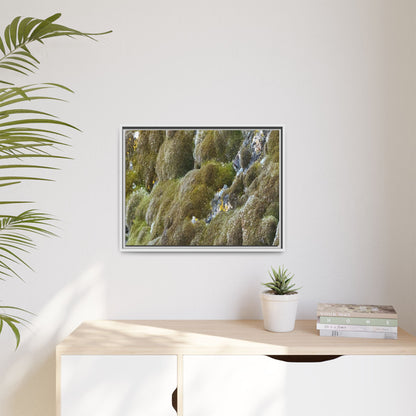Moss Symphony - Unique Stretched Canvas Wall Art