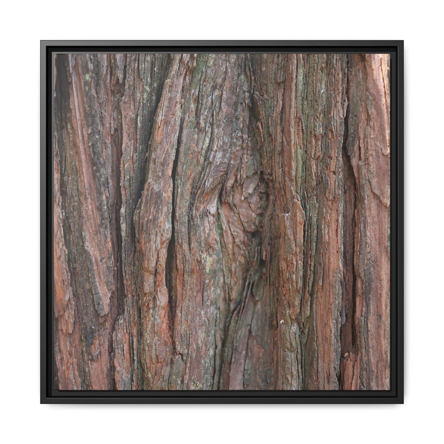 Rugged Textures - Unique Stretched Canvas Wall Art - Art By Earth