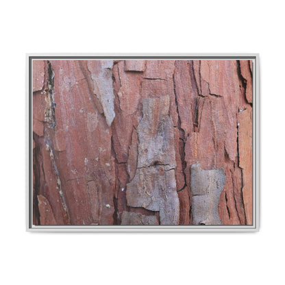 Peeling Bark - Unique Stretched Canvas Wall Art - Art By Earth