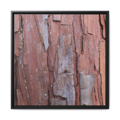 Peeling Bark - Unique Stretched Canvas Wall Art - Art By Earth