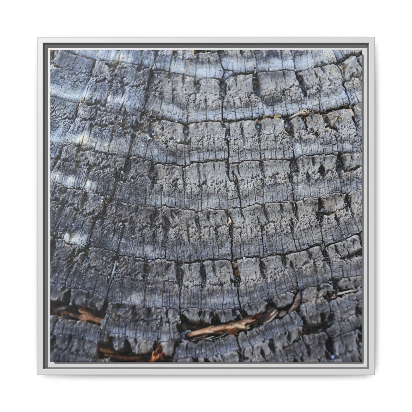 Charred Memories - Unique Stretched Canvas Wall Art - Art By Earth