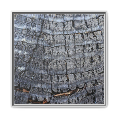 Charred Memories - Unique Stretched Canvas Wall Art - Art By Earth