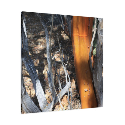 Burnt Forest Remnants - Unique Frameless Canvas Wall Art