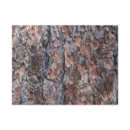 Woodland Armor - Unique Frameless Canvas Wall Art - Art By Earth