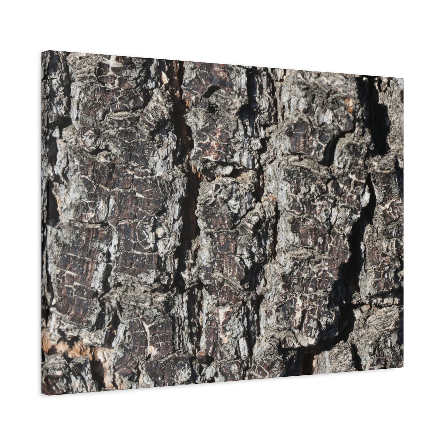 Cracked Skin of Earth - Unique Frameless Canvas Wall Art - Art By Earth