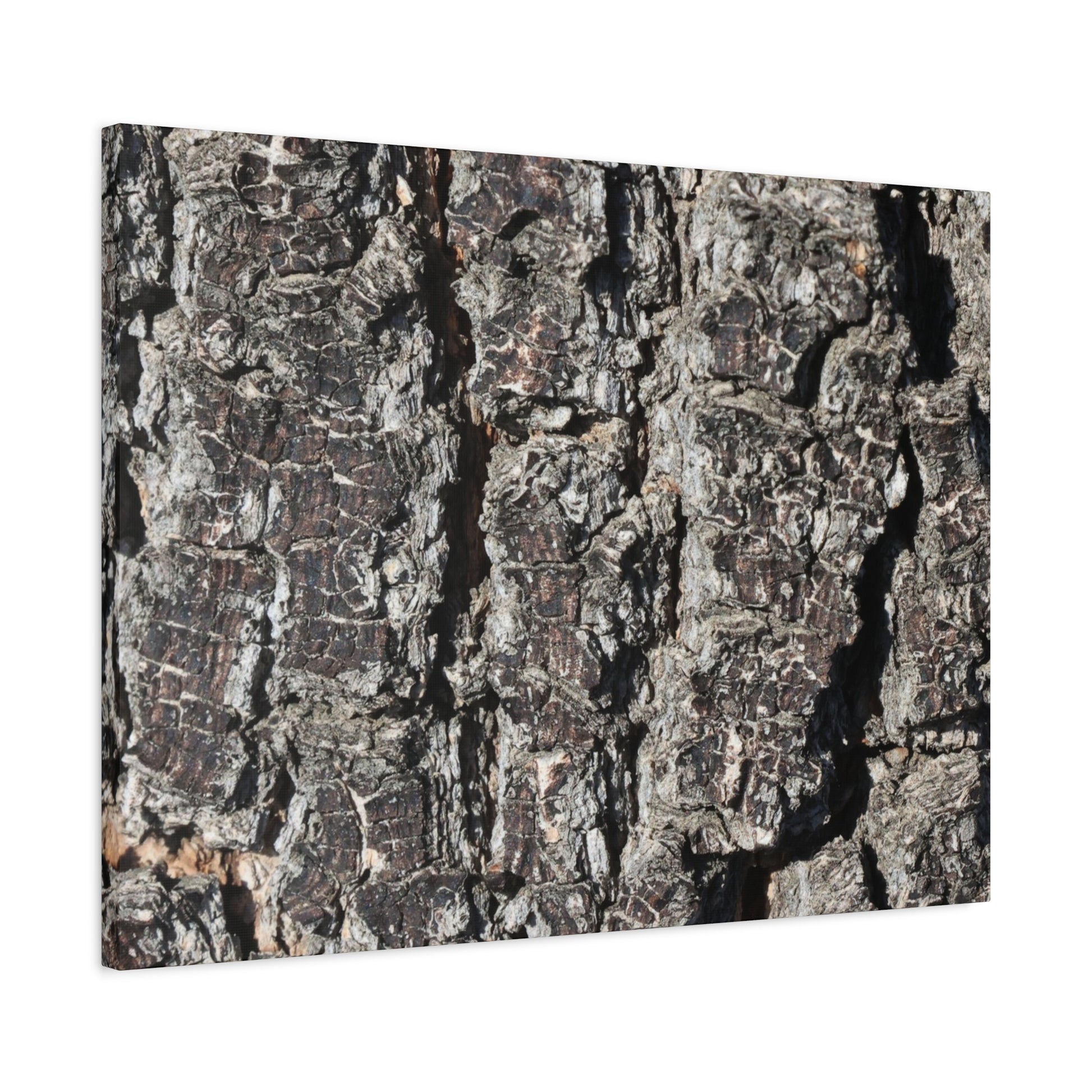 Cracked Skin of Earth - Unique Frameless Canvas Wall Art - Art By Earth