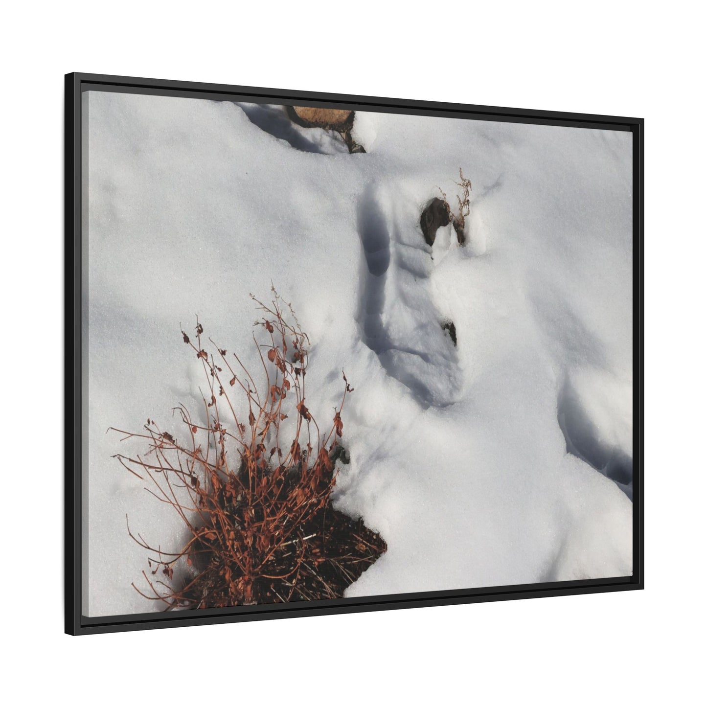 Frostbound Whispers - Unique Stretched Canvas Wall Art